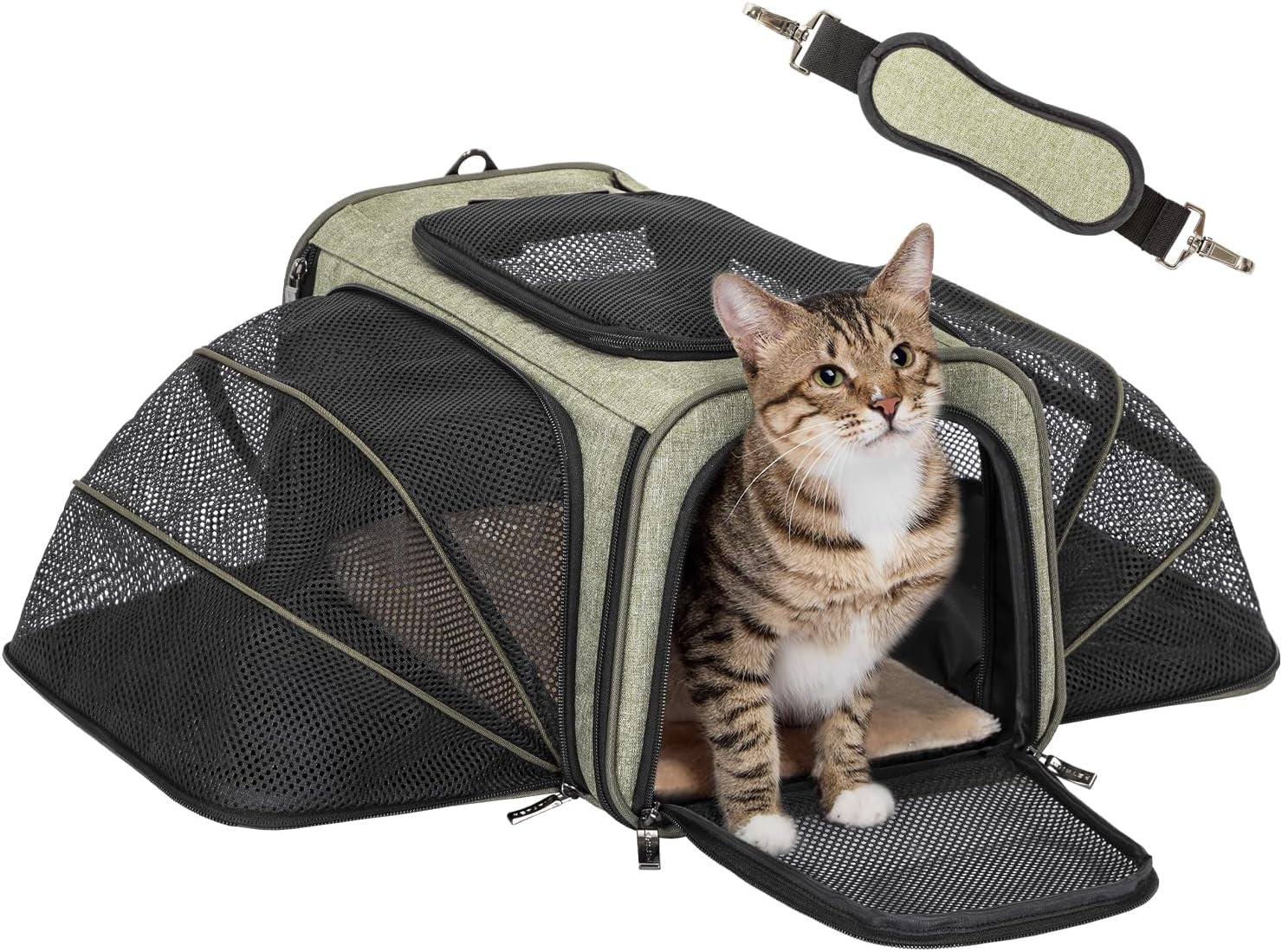 Expandable Cat/Dog Carrier! Airline Approved! With Two Extension up to 9LB! Soft-Sided, Portable, Washable, Pet Travel Carrier!