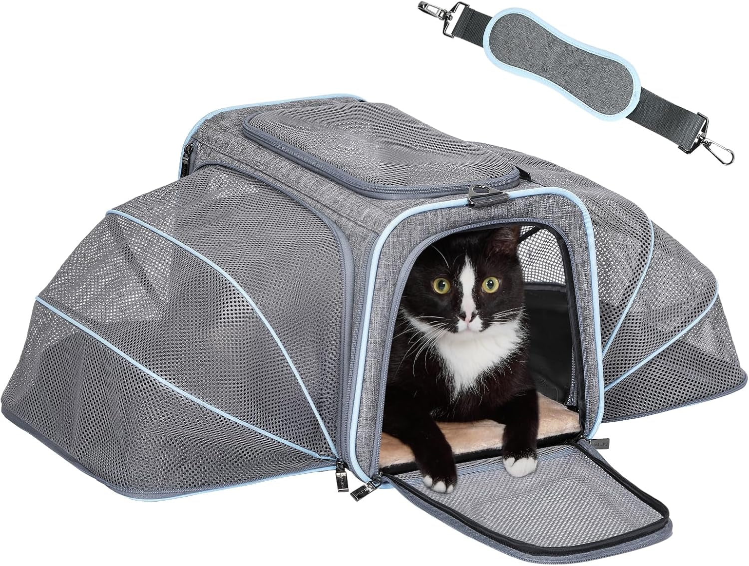 Expandable Cat/Dog Carrier! Airline Approved! With Two Extension up to 9LB! Soft-Sided, Portable, Washable, Pet Travel Carrier!