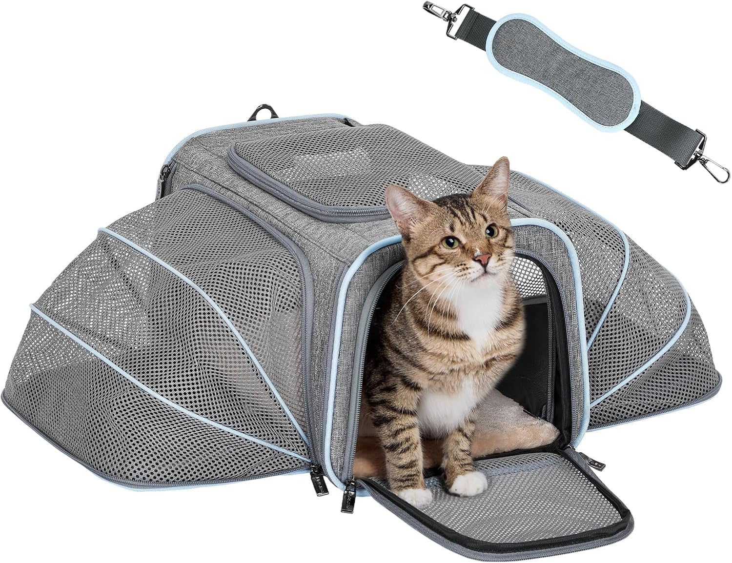 Expandable Cat/Dog Carrier! Airline Approved! With Two Extension up to 9LB! Soft-Sided, Portable, Washable, Pet Travel Carrier!